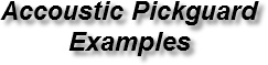 From pickguards to electronics covers-----we've got you covered
