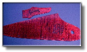 Click here to see some examples of our beautifully hand made amp cabinets