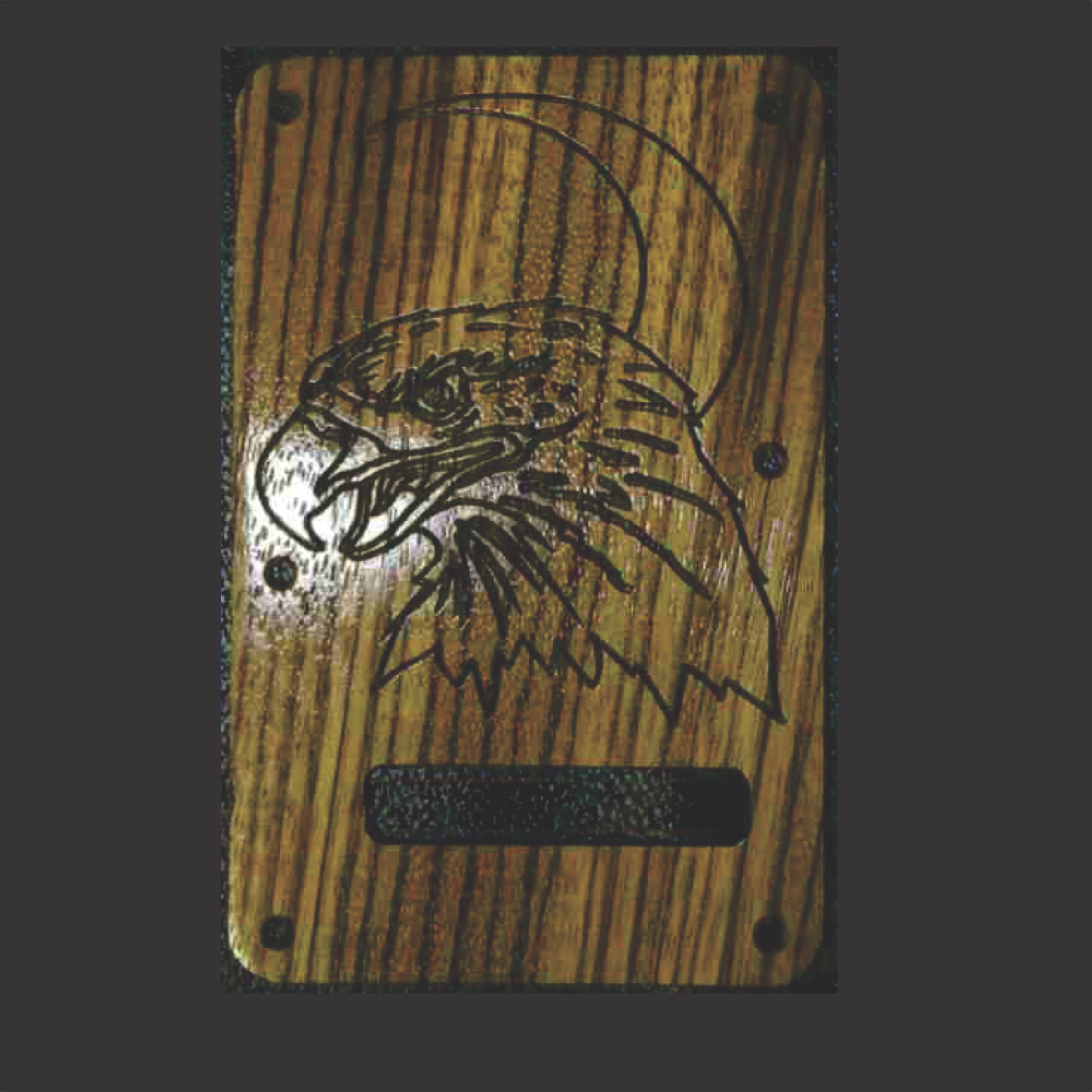 Custom Zebrawood Backplate With Eagle Graphic Engraving