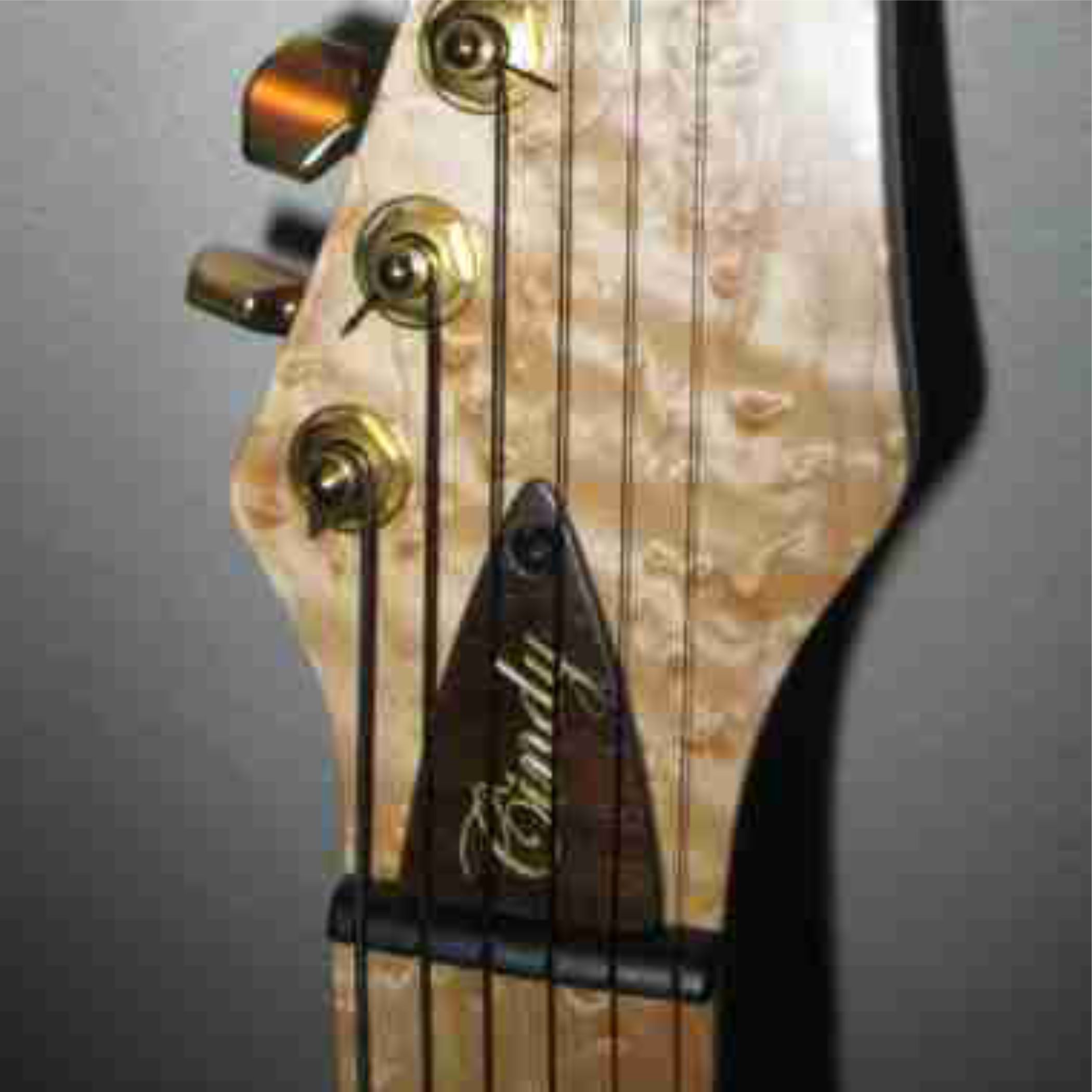 Walnut Truss Rod Cover With Gold Fill On Carving Custom